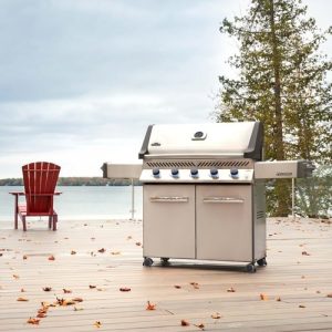 Napoleon prestige® 665 - image 3