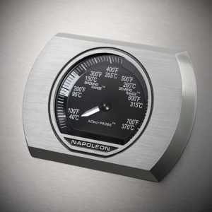 Napoleon rogue® xt 425 - image 4