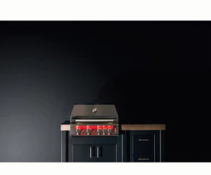True flame 32in built in grill - image 13