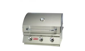 Bull 24" steer premium - image 2