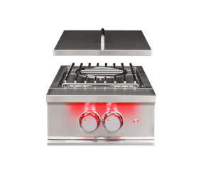Trueflame power burner - natural gas