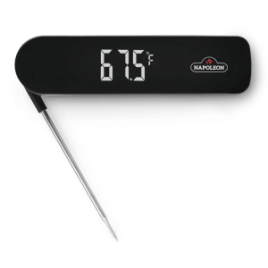 Fast Read Thermometer