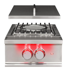 TrueFlame Power Burner (NG/LP )