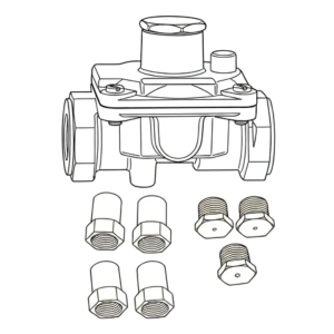 LP Conversion Kit for TEBQ54, NG to LP, with LP Regulator